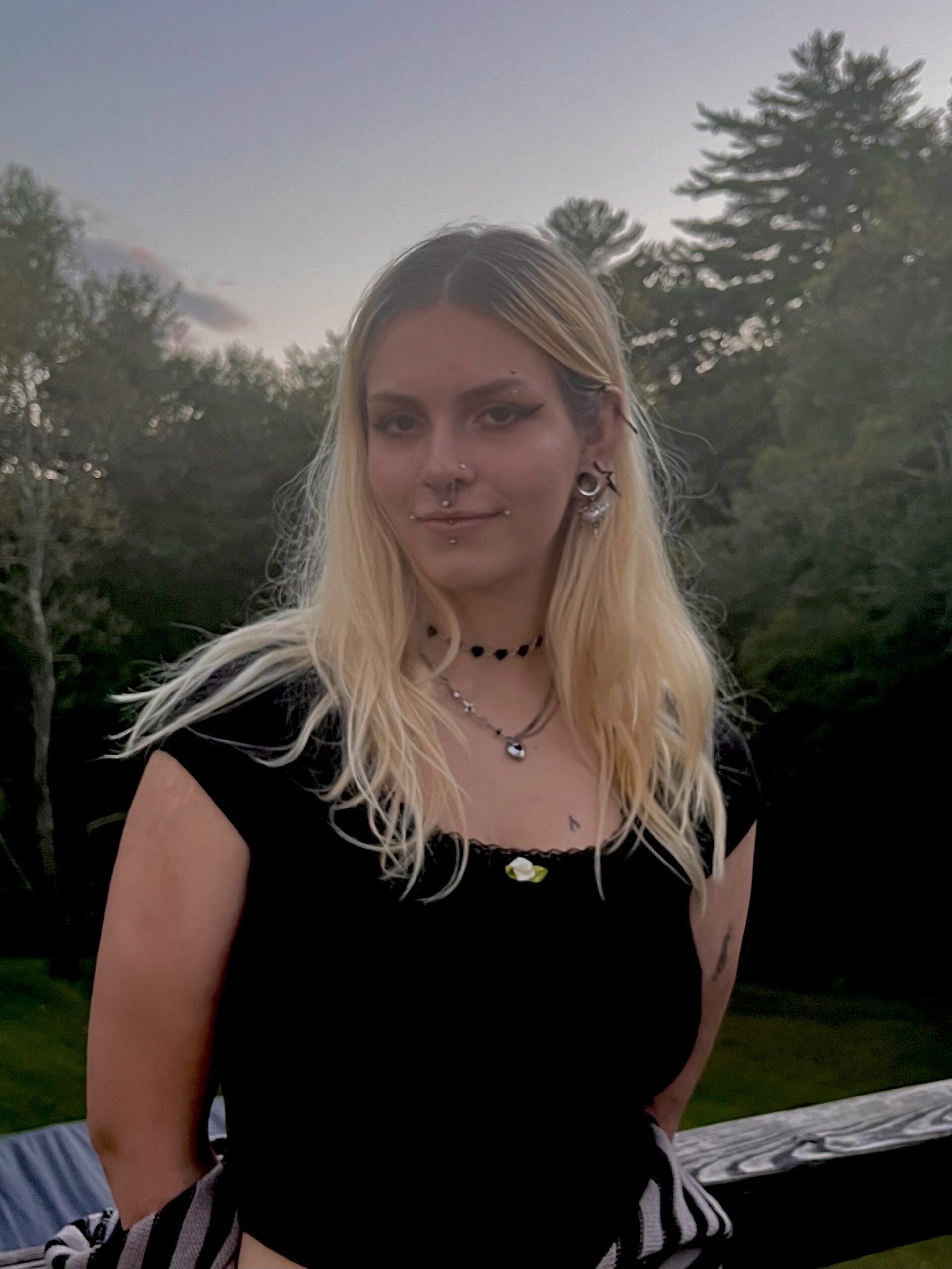 shevanna-young-see-saw-art