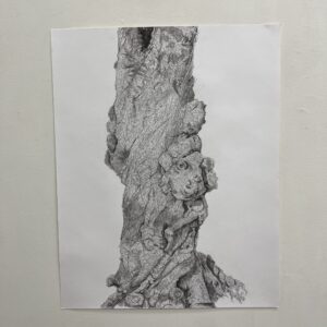 Treeptych (Single) by Amira Nguyen-Hasoon