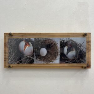 Emerge by Brenda Noiseux