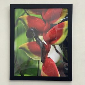 Restful Critter by Emme Johnson