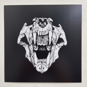 Wolf Skull by Hannah Dooley