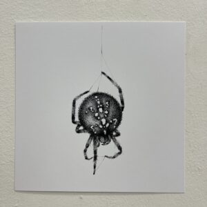 Orb Weaver by Hannah Dooley