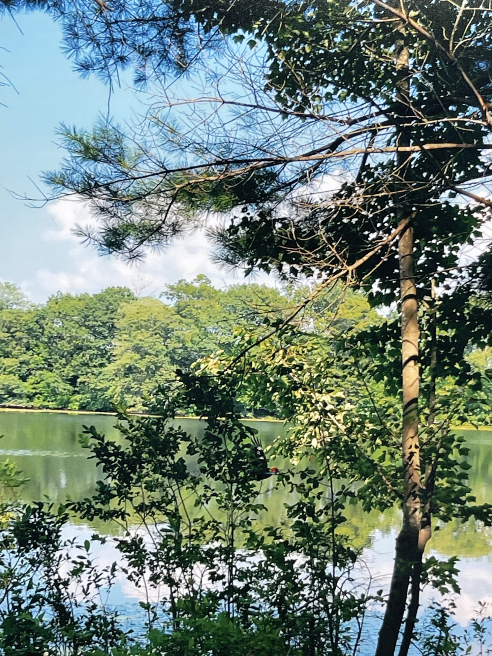 Bye, George by Eric Goss - Image 3