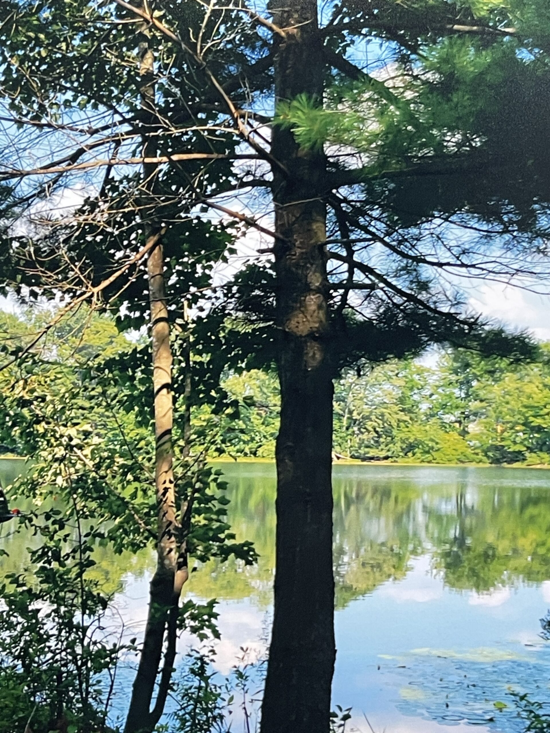 Bye, George by Eric Goss - Image 4