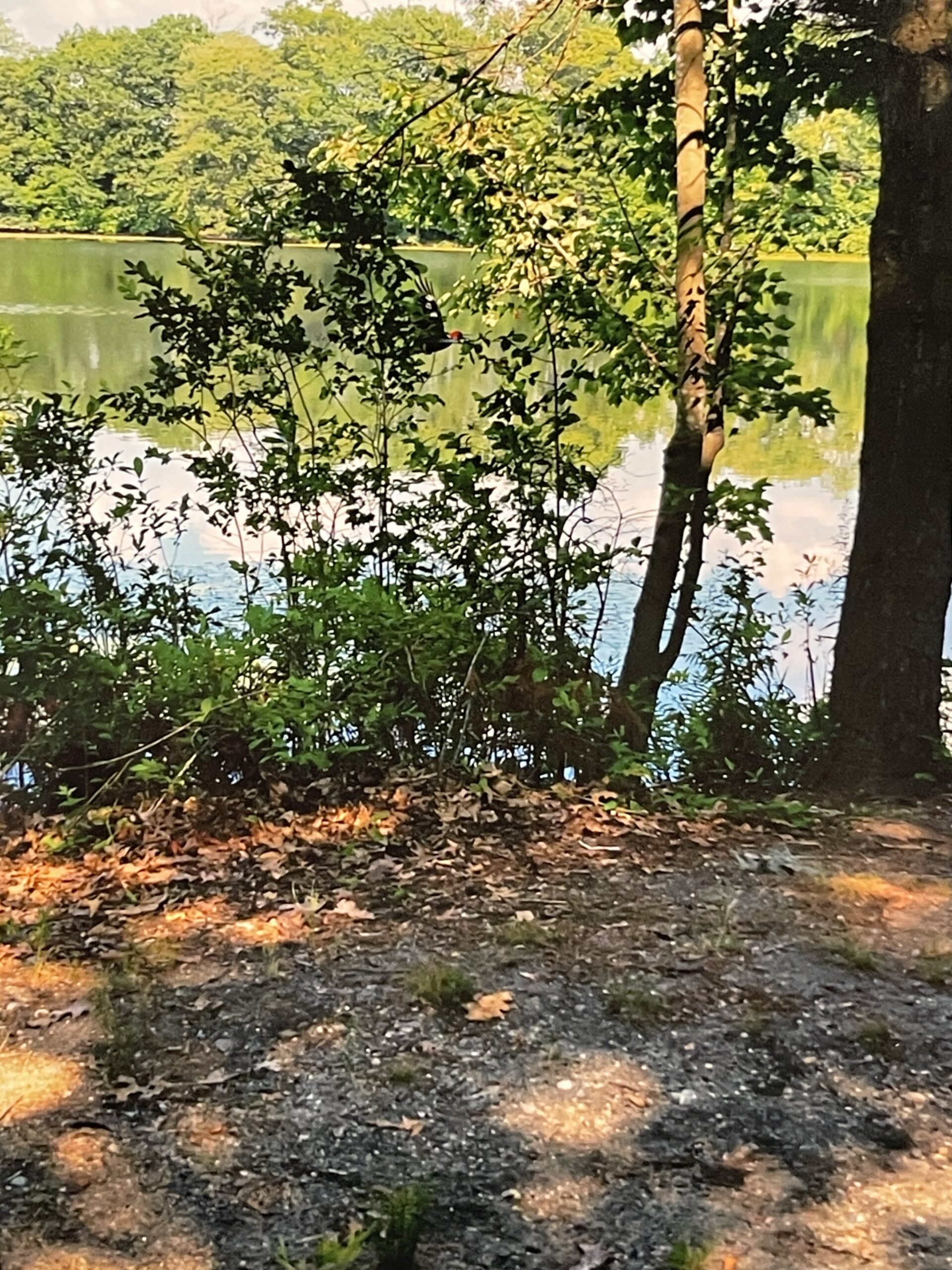 Bye, George by Eric Goss - Image 5