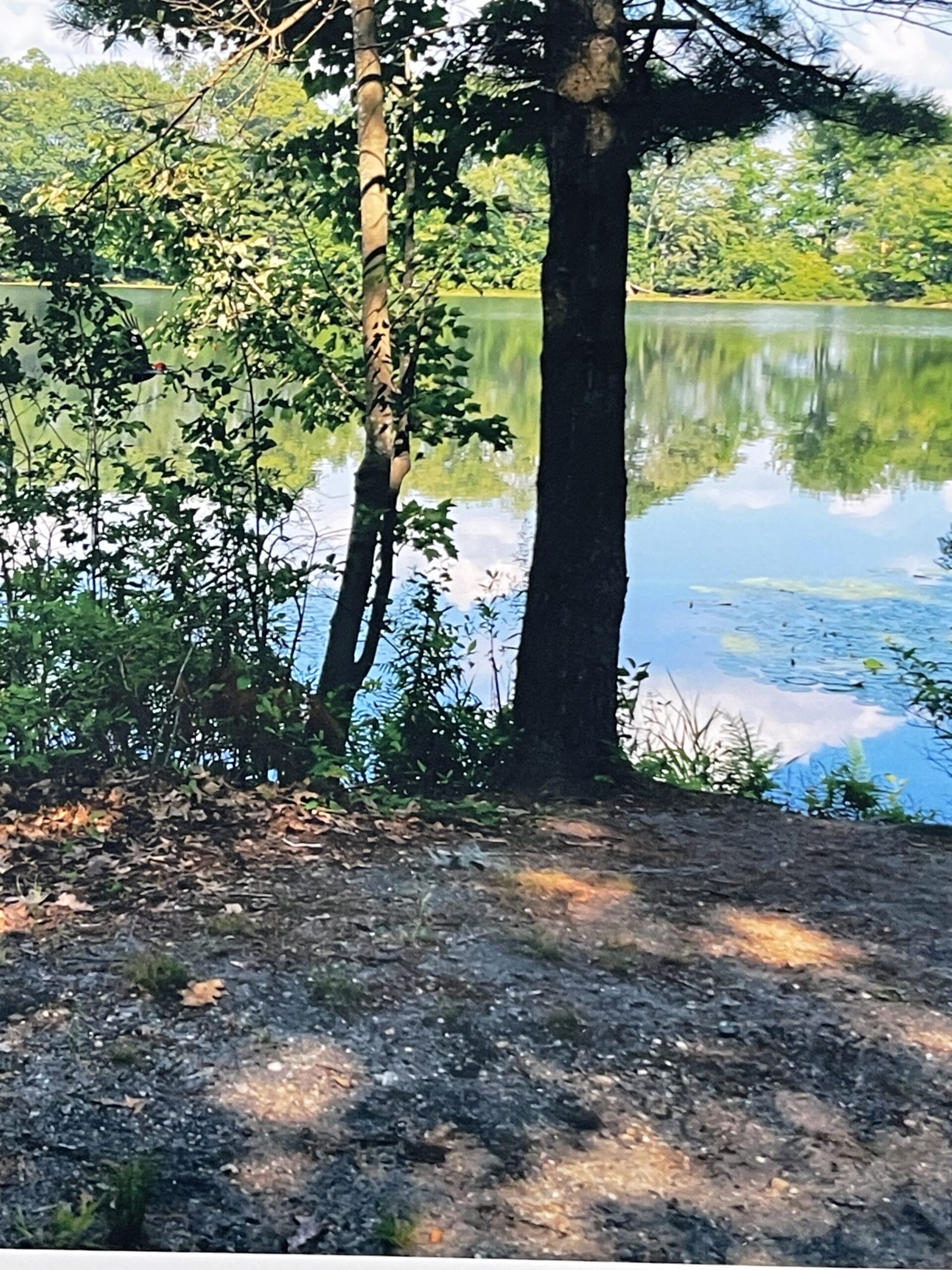 Bye, George by Eric Goss - Image 6