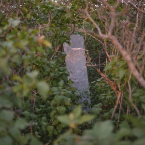 Erick by Caleb Swann