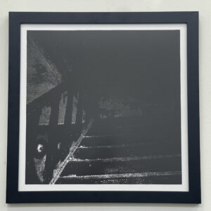 Stares by Aaron Kane