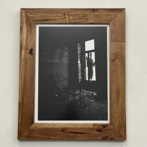 Let Me In by Aaron Kane