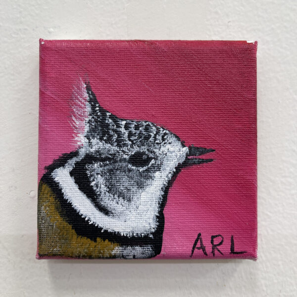 Crested Tit Bird by Abdiel Rodriguez