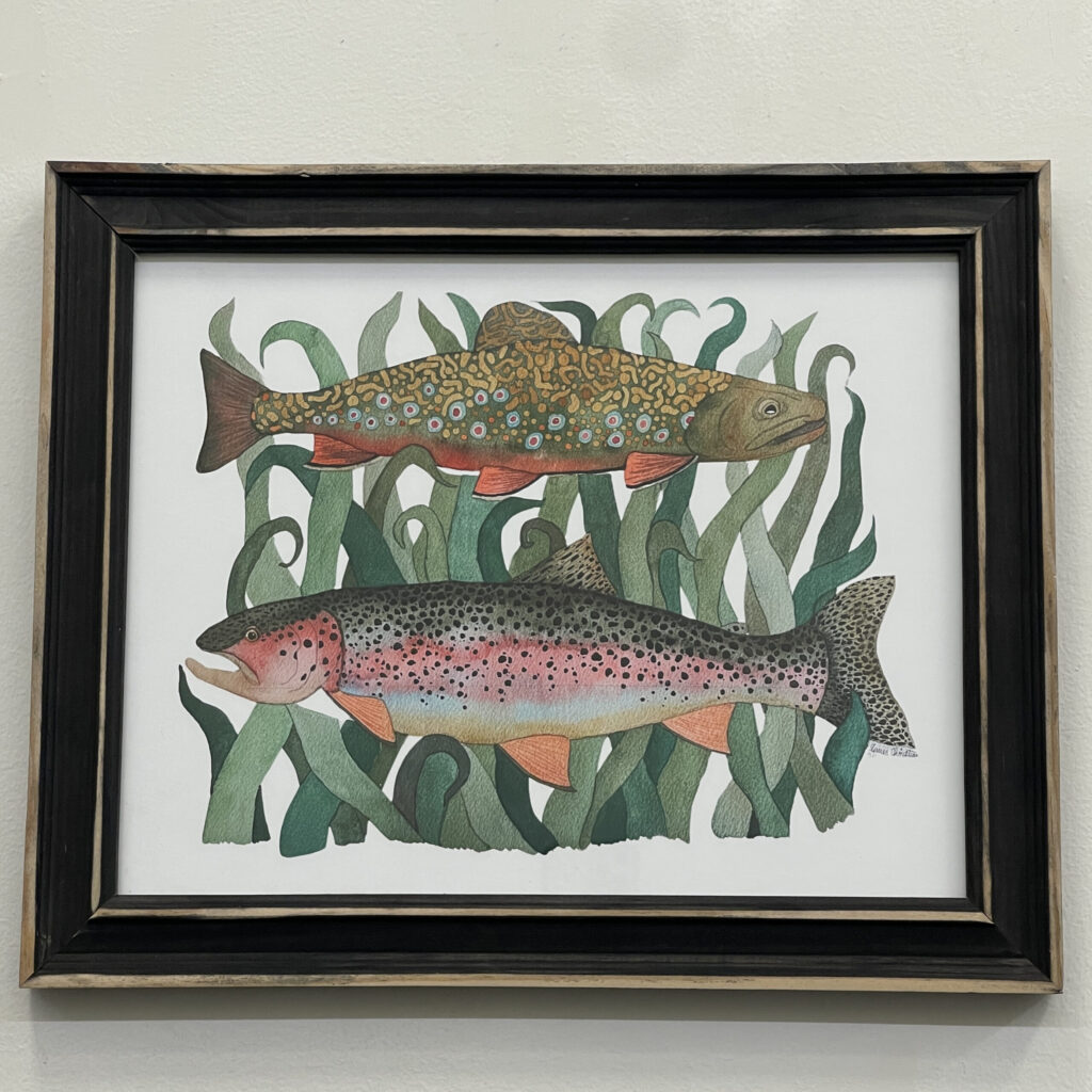 Brook & Rainbow Trout by Olivia Christian