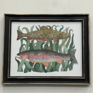 Brook & Rainbow Trout by Olivia Christian