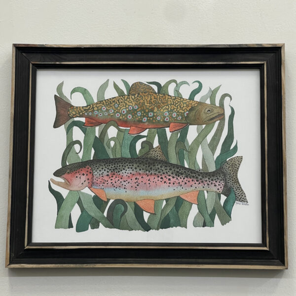 Brook & Rainbow Trout by Olivia Christian