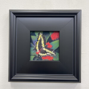 I Fleetly Flee by Susanne Larkham