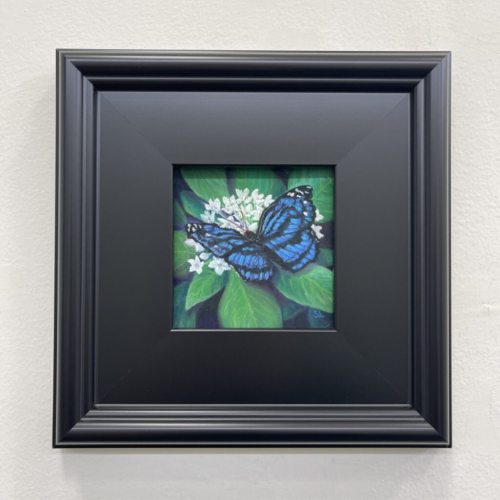 Mexicali Blue by Susanne Larkham