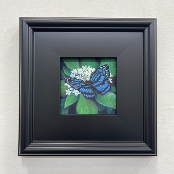 Mexicali Blue by Susanne Larkham