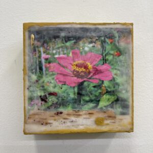 Garden by Suzanne Lenz