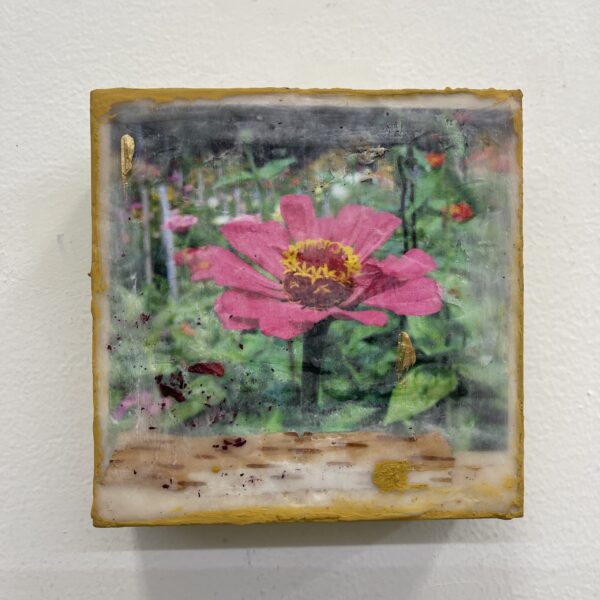 Garden by Suzanne Lenz