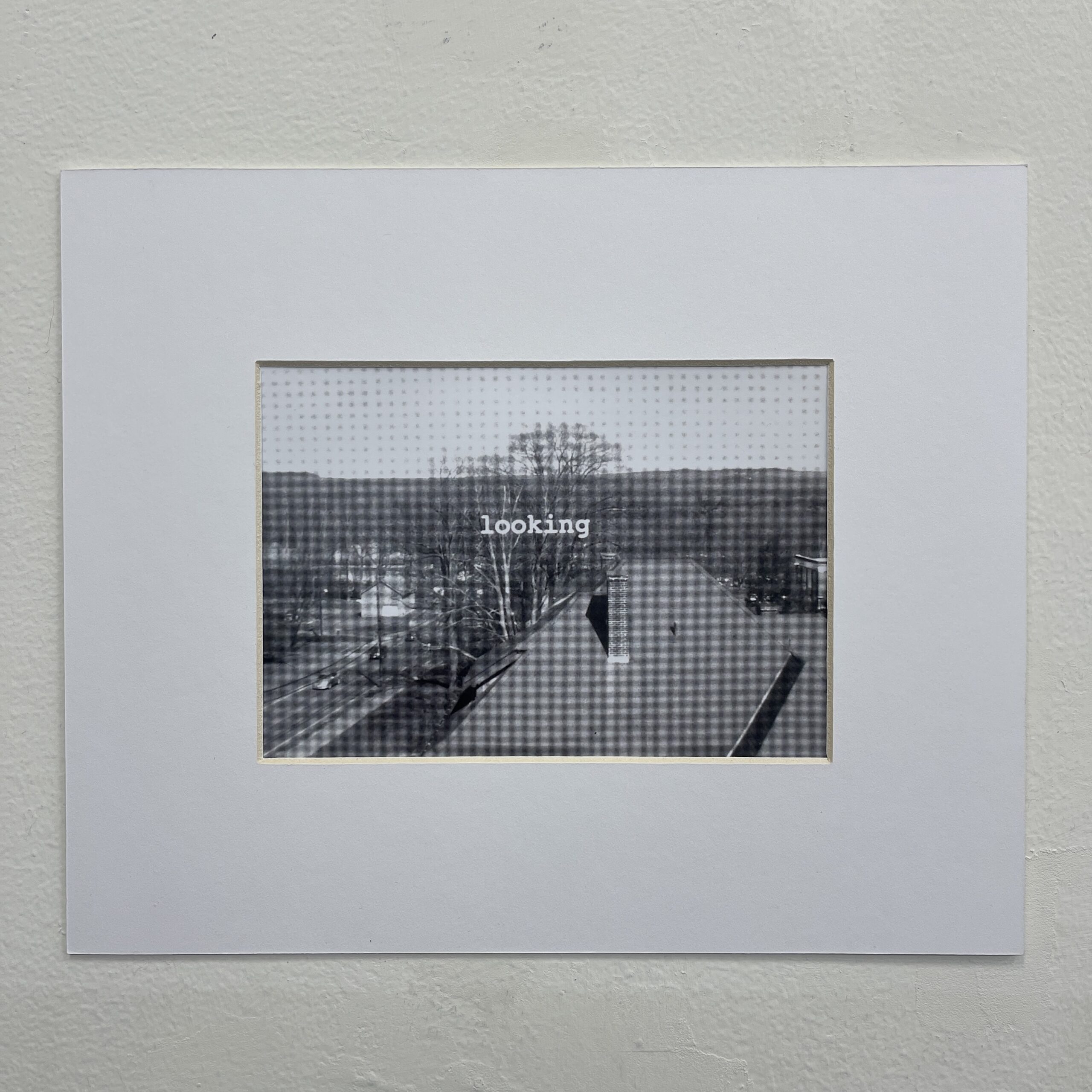 "Looking" by Grace Walker