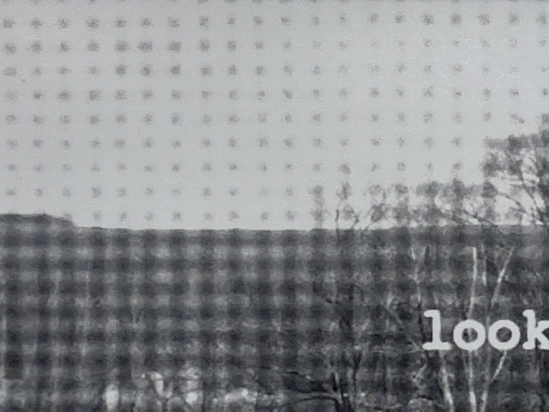 "Looking" by Grace Walker - Image 3