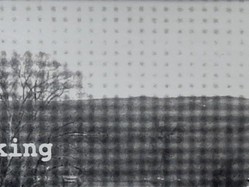 "Looking" by Grace Walker - Image 4