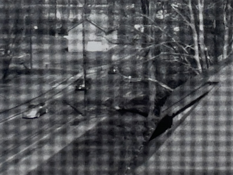 "Looking" by Grace Walker - Image 5