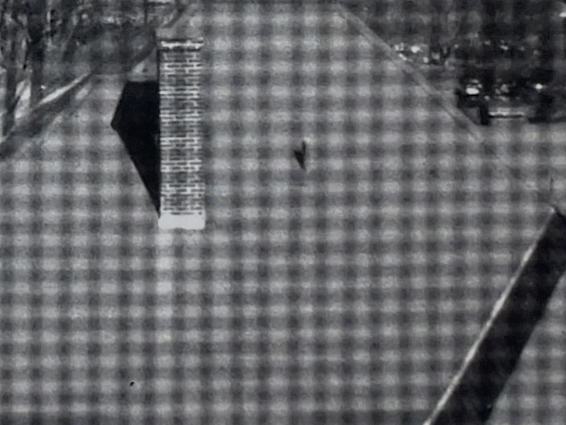 "Looking" by Grace Walker - Image 6