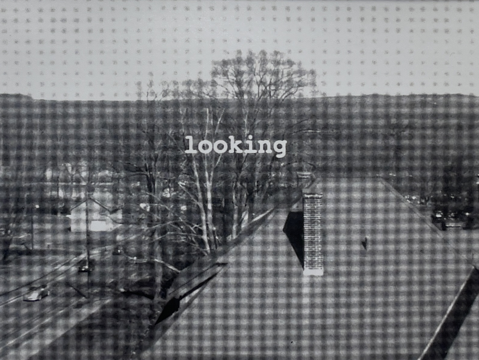 "Looking" by Grace Walker - Image 7