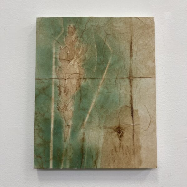 Wheat Glow II by Rebecca Desrochers