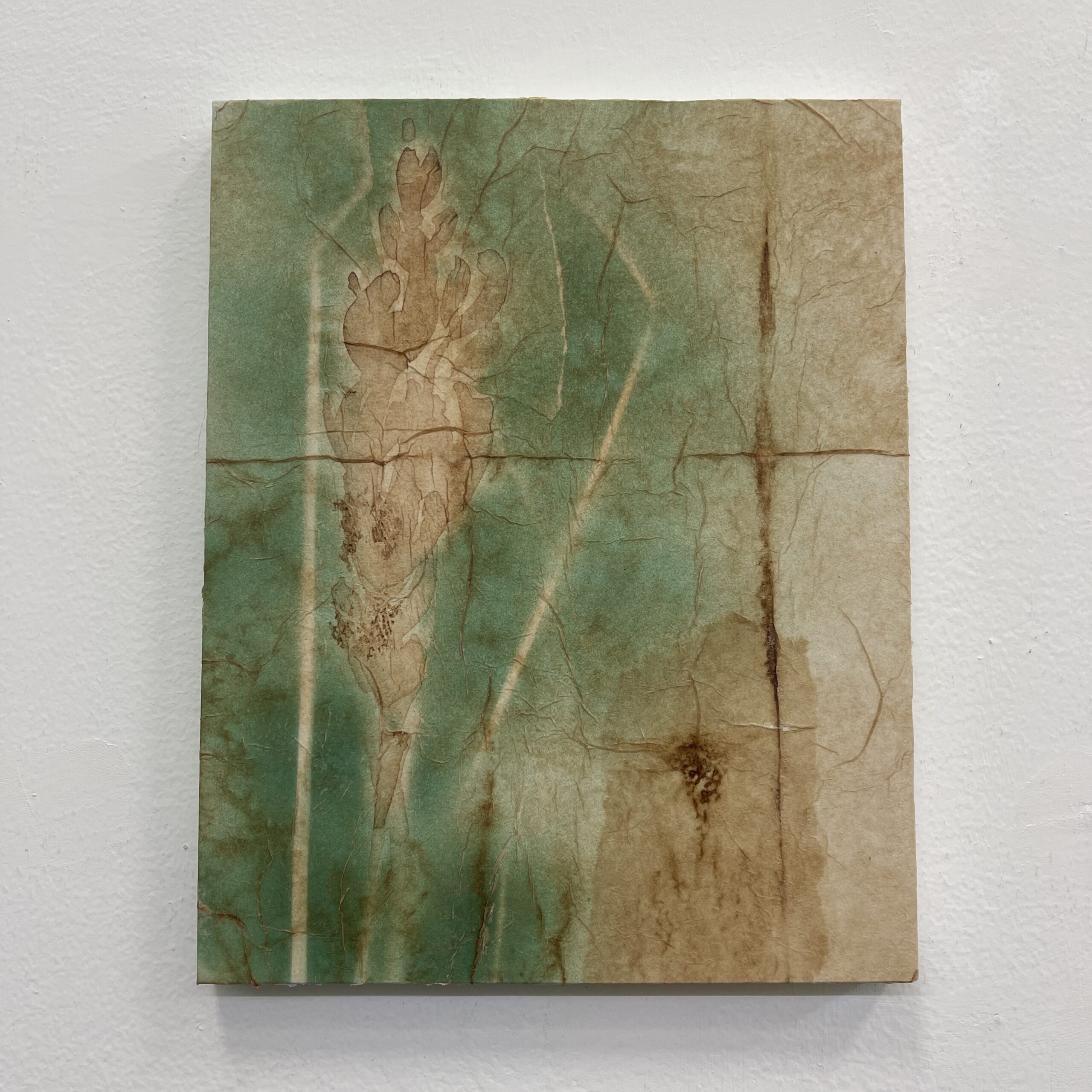 Wheat Glow II by Rebecca Desrochers