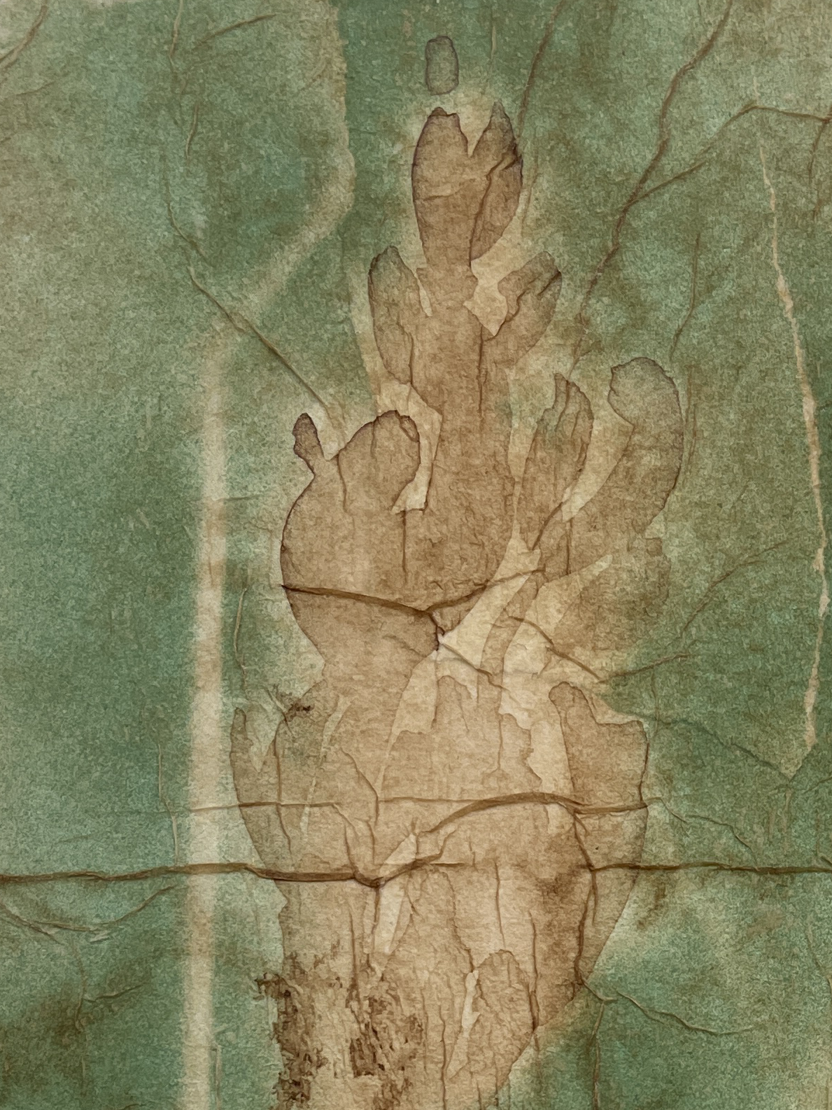 Wheat Glow II by Rebecca Desrochers - Image 4