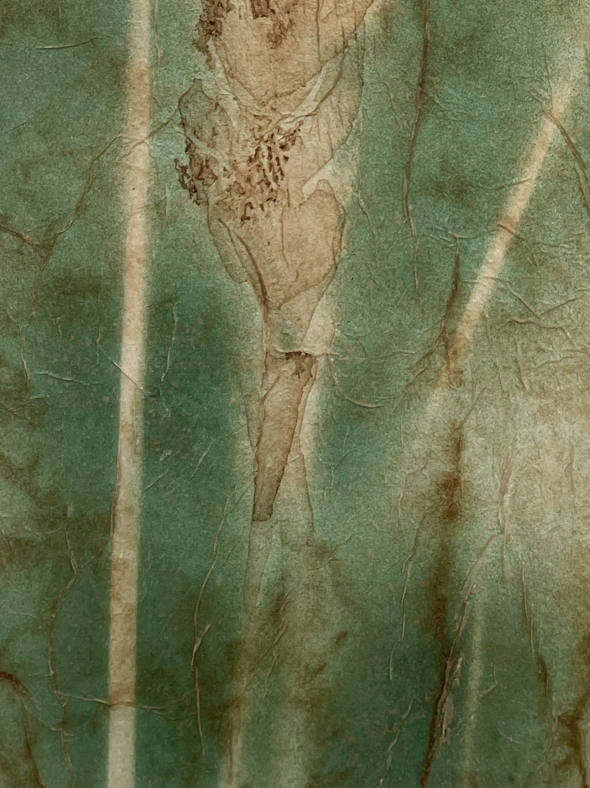 Wheat Glow II by Rebecca Desrochers - Image 6