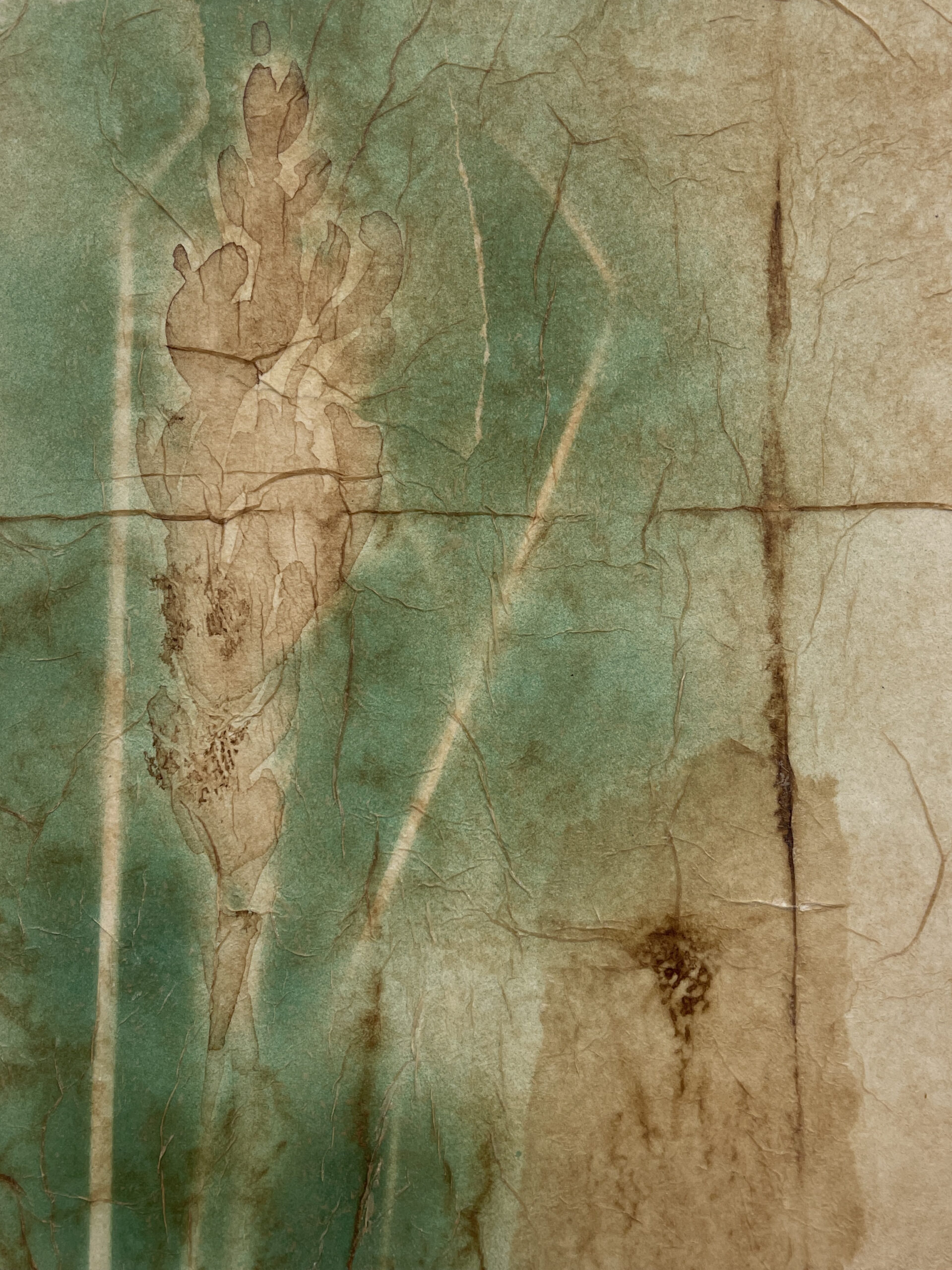 Wheat Glow II by Rebecca Desrochers - Image 8