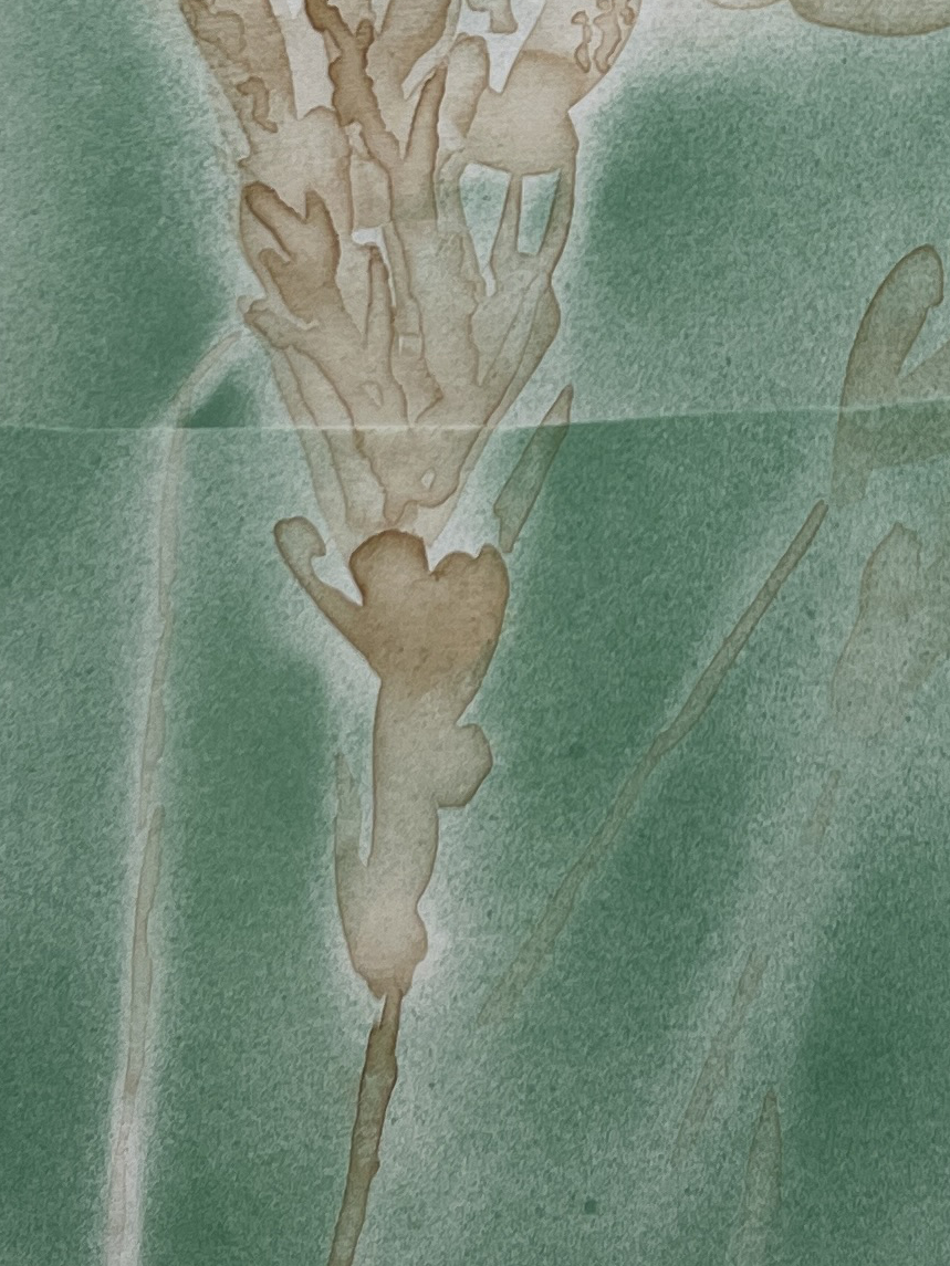 Wheat Glow III by Rebecca Desrochers - Image 6