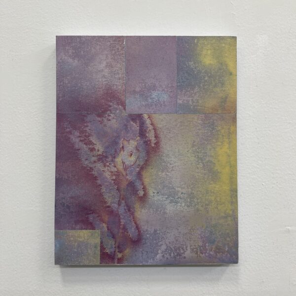 Wildflower Sunset by Rebecca Desrochers