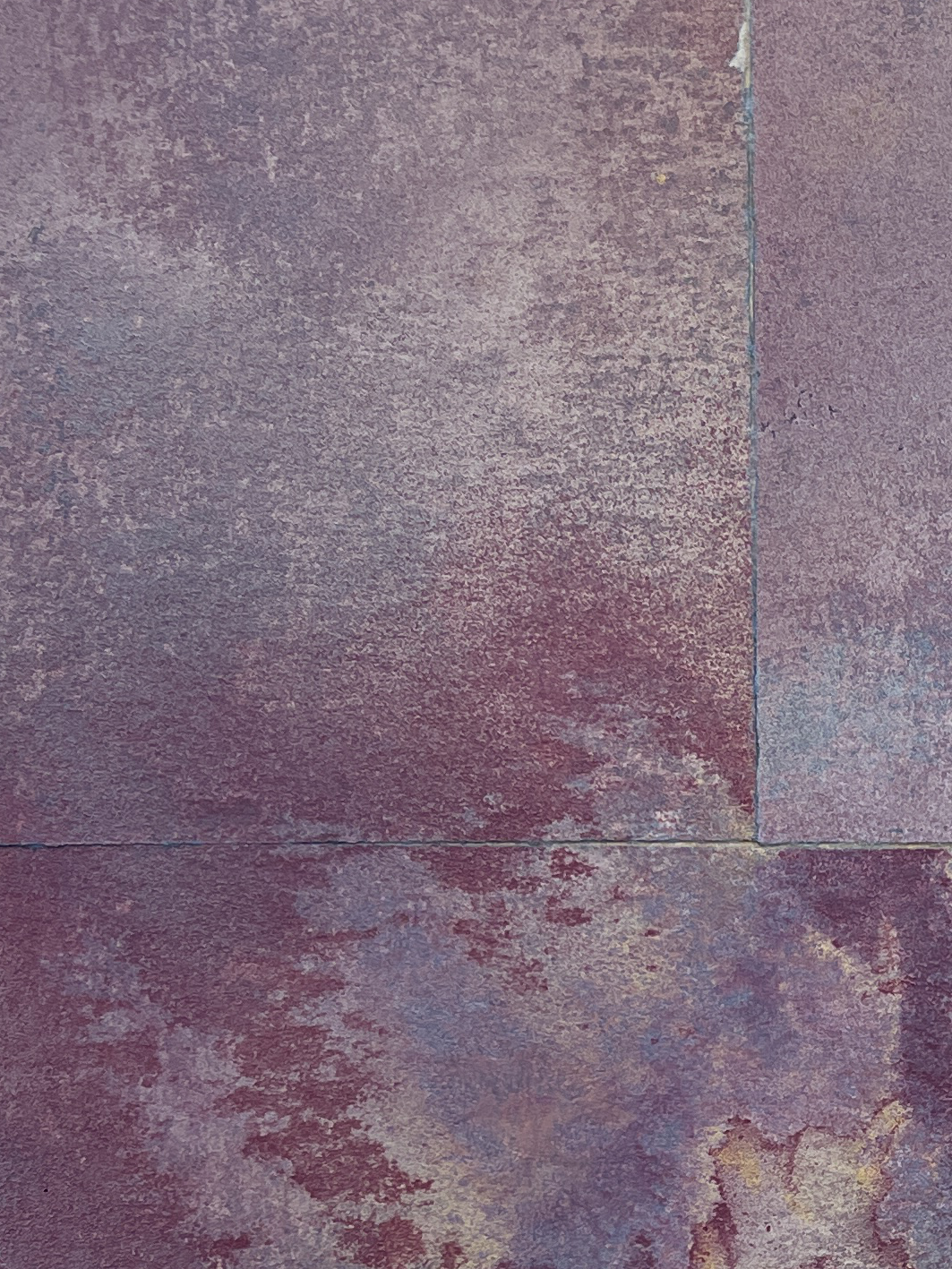 Wildflower Sunset by Rebecca Desrochers - Image 4