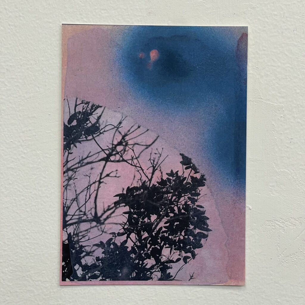 Full Print by Rebecca Desrochers
