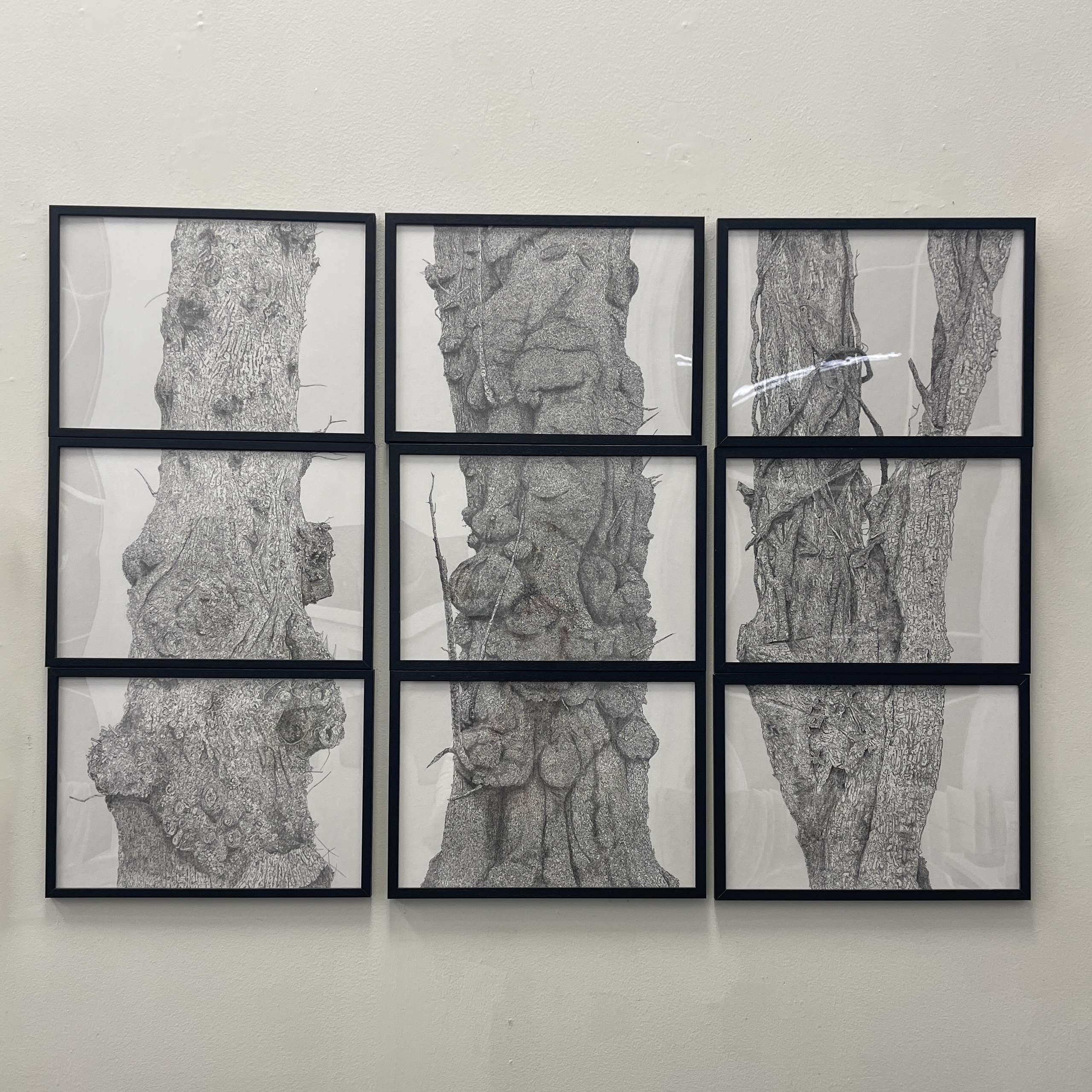 Treeptych<sup>2</sup> by Amira Nguyen-Hasoon