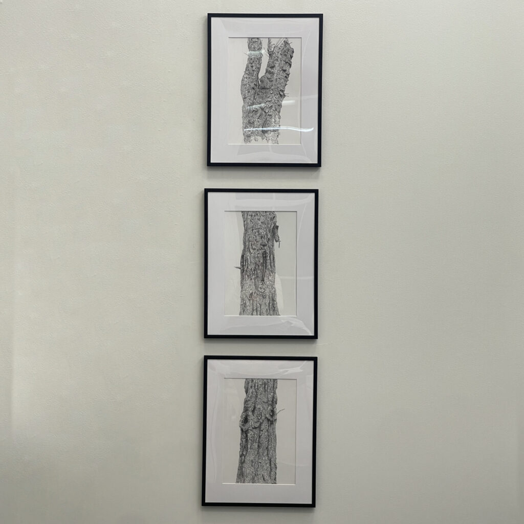 Treeptych by Amira Nguyen-Hasoon