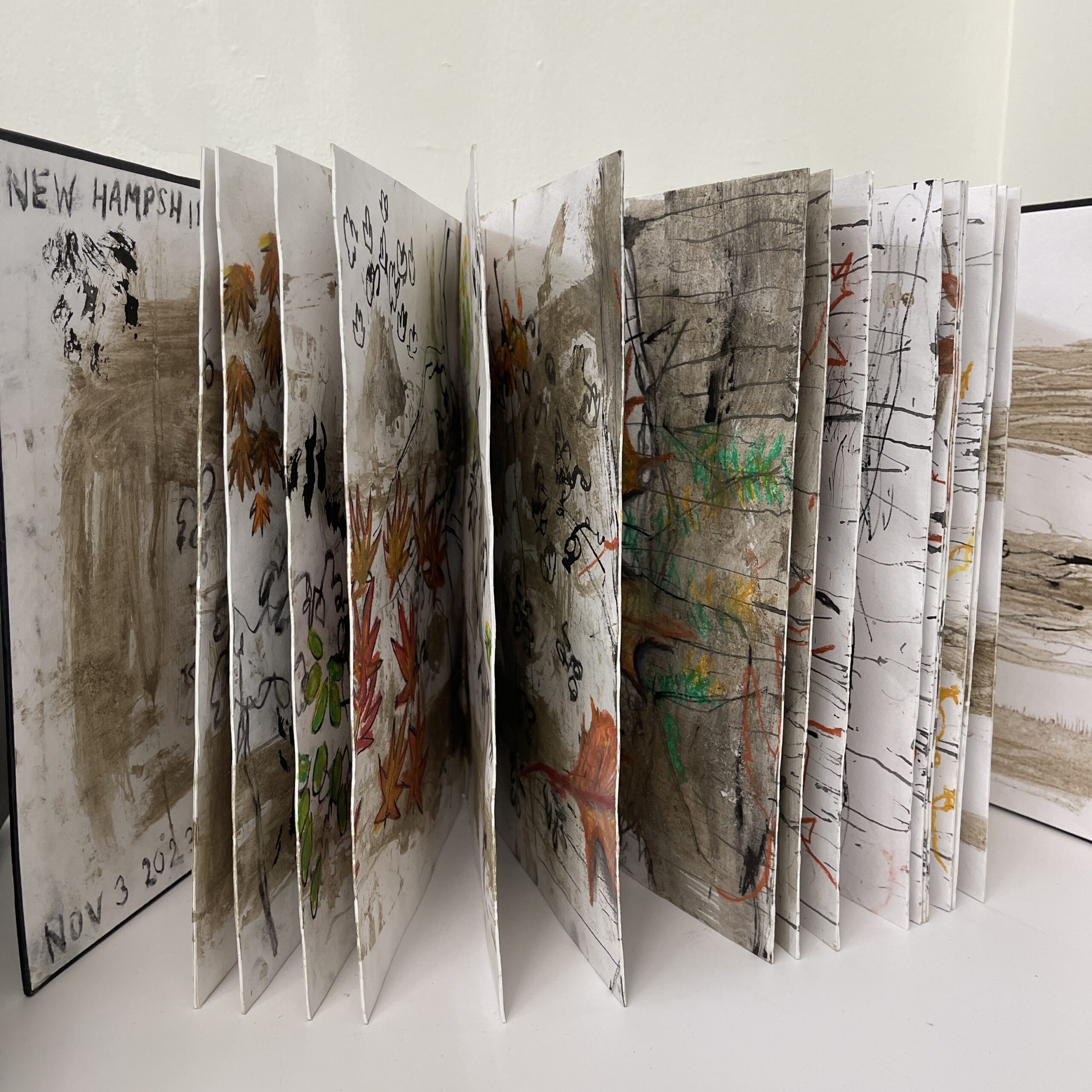 Nature Transitory Sketchbook 01 by Amira Nguyen-Hasoon