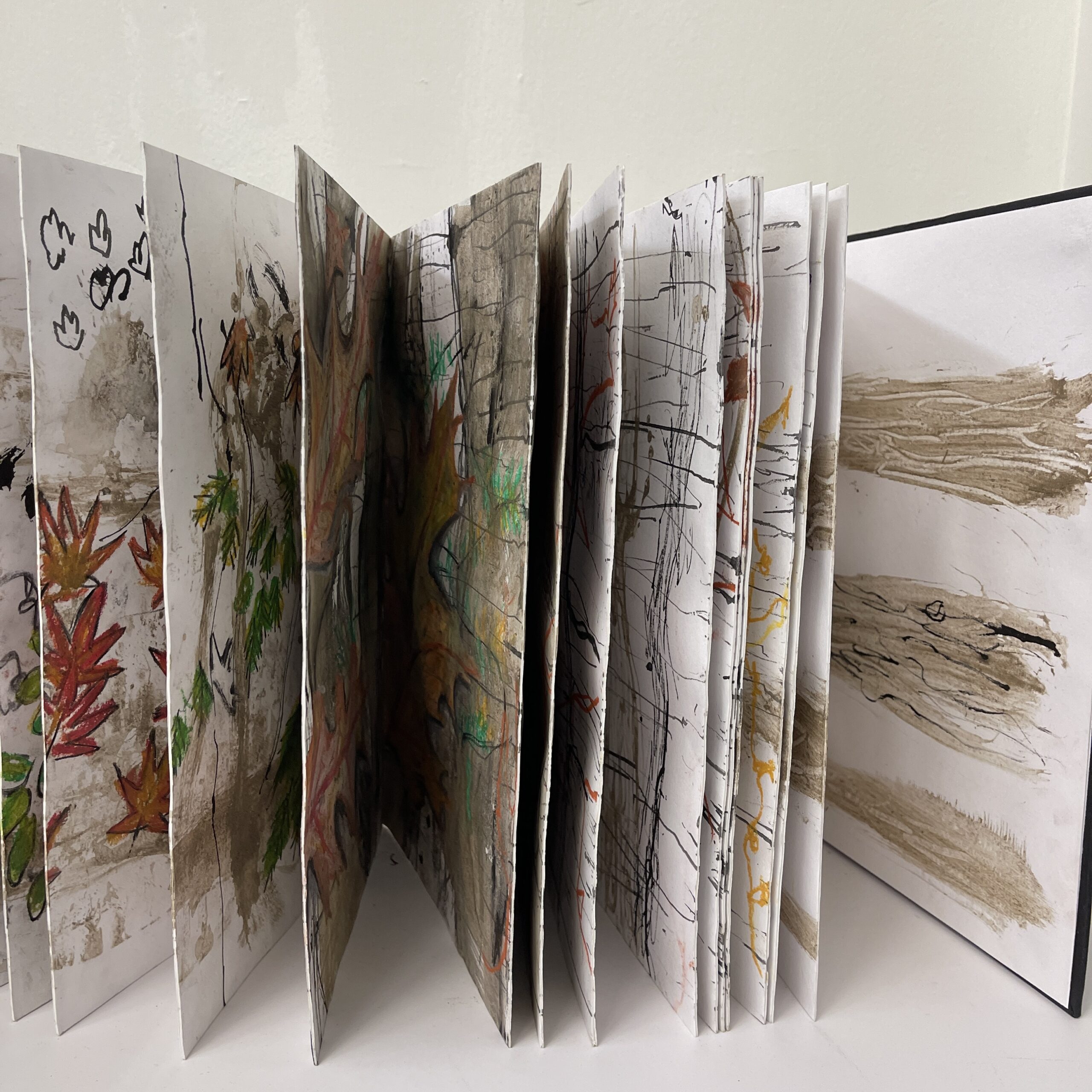 Nature Transitory Sketchbook 01 by Amira Nguyen-Hasoon - Image 2