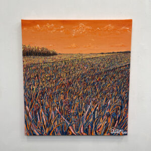 Borderlines by Dave Robb