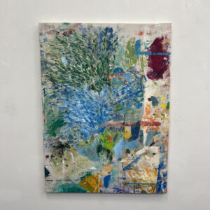 Drop Cloth Chronicles by Dave Robb