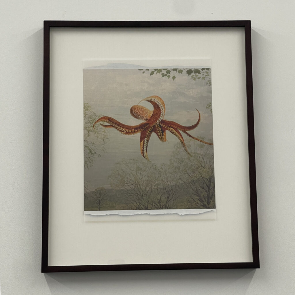 Enteroctopus Dofleini by Peter Sandback
