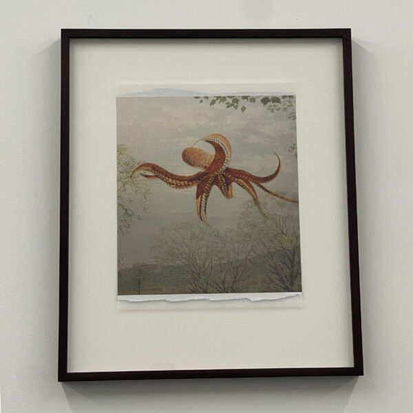 Enteroctopus Dofleini by Peter Sandback