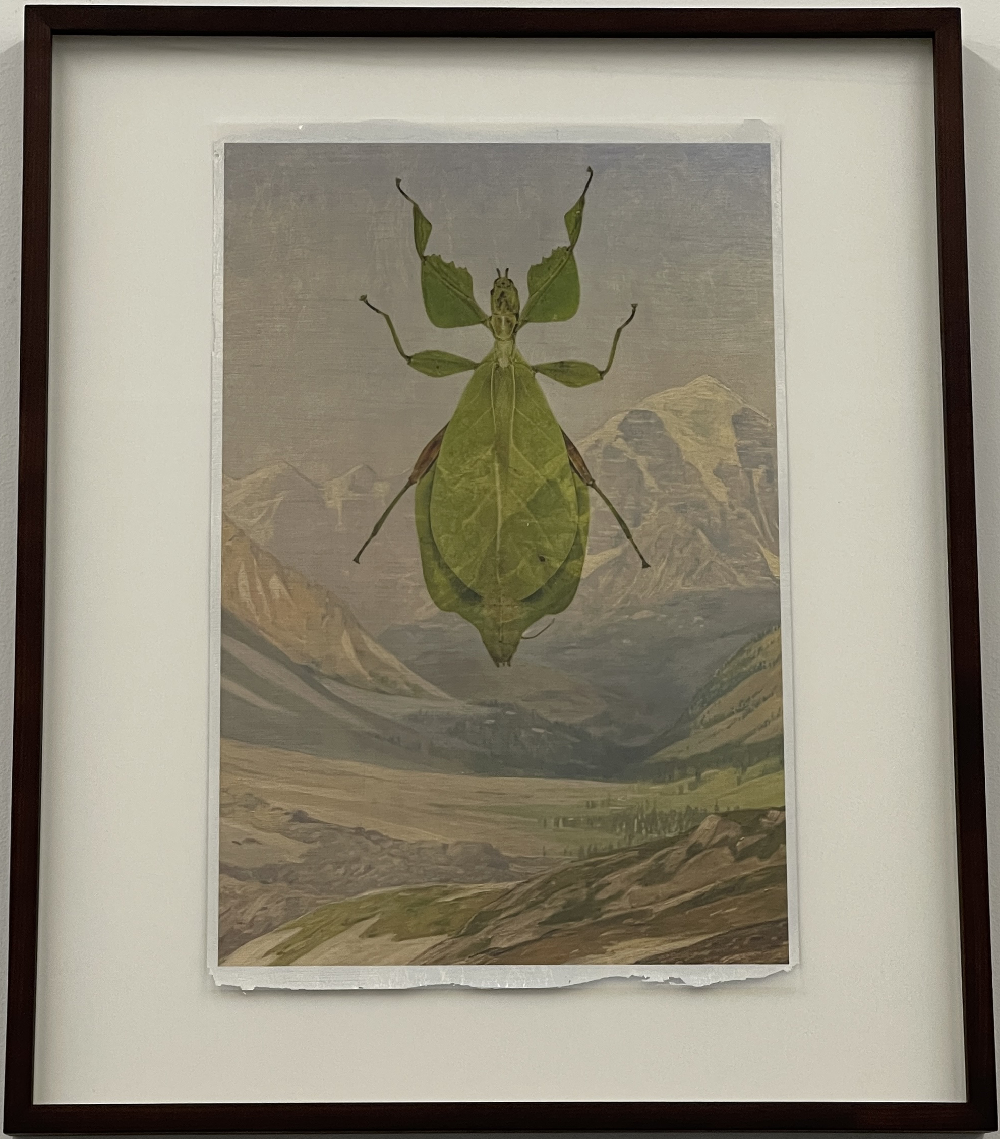 Tendera Religiosa by Peter Sandback - Image 7