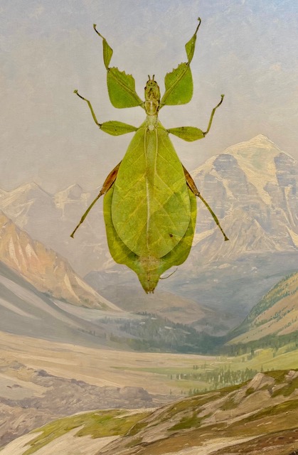 Tendera Religiosa by Peter Sandback - Image 8