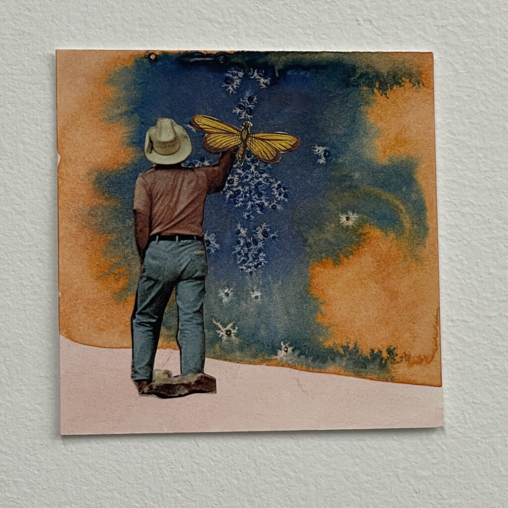 Migration Story by Ashley Normal