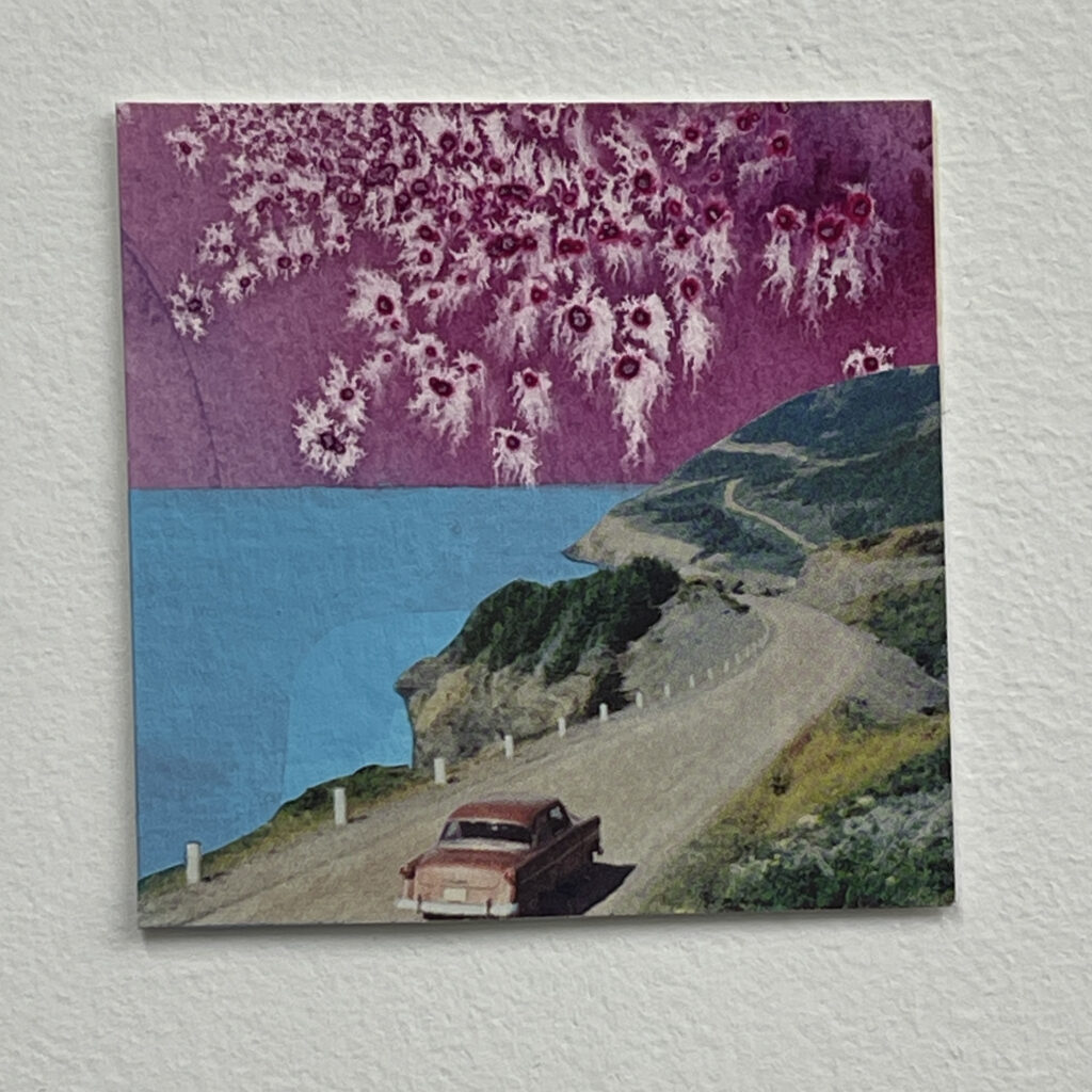 California Coast by Ashley Normal