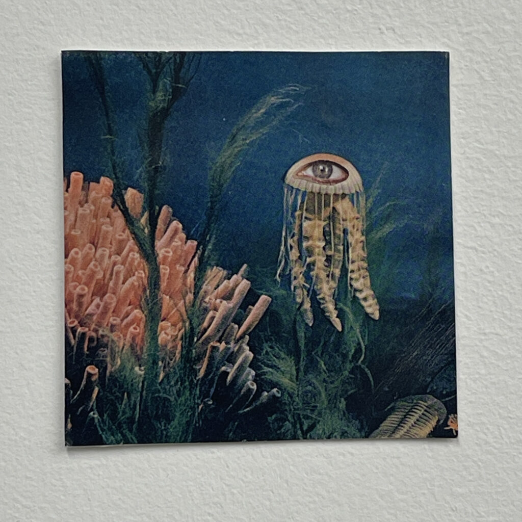 Seeing Through Murky Waters by Ashley Normal